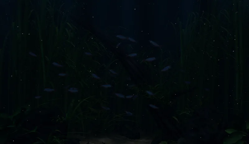 The aquarium at night