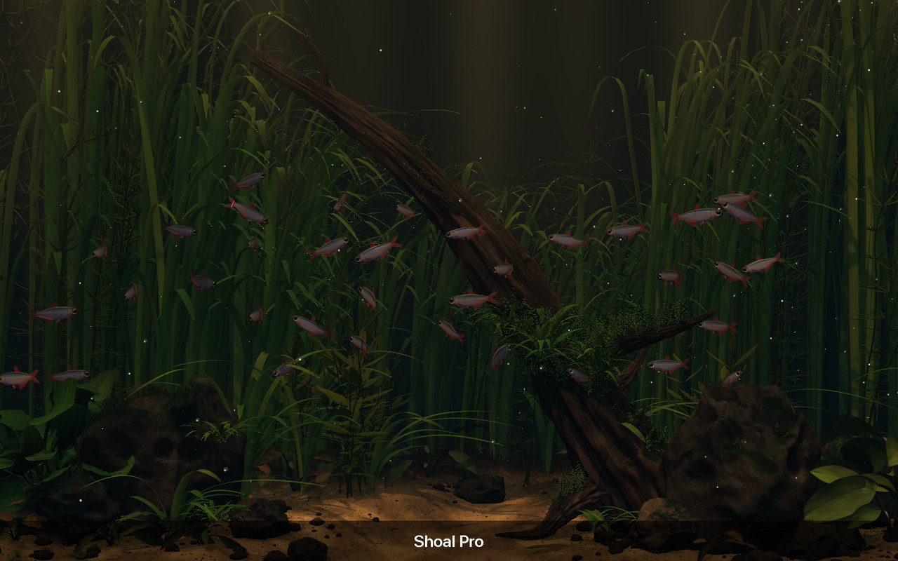 Thirty-six fish in the Riverscape aquarium under warm dusk lighting, with Living Tank on